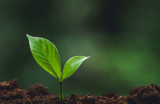 untitled design (58)